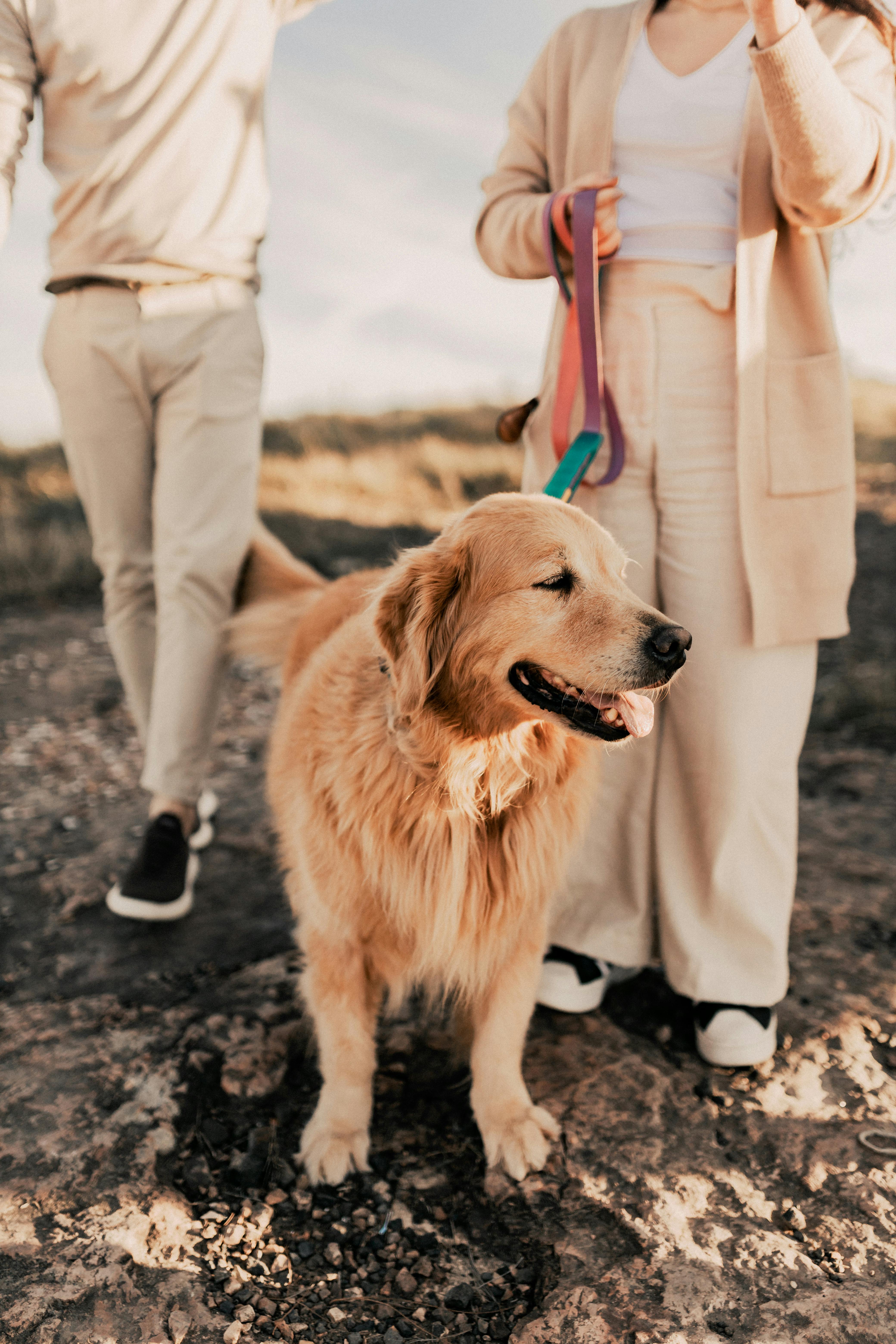 A couple and their dog on a hike