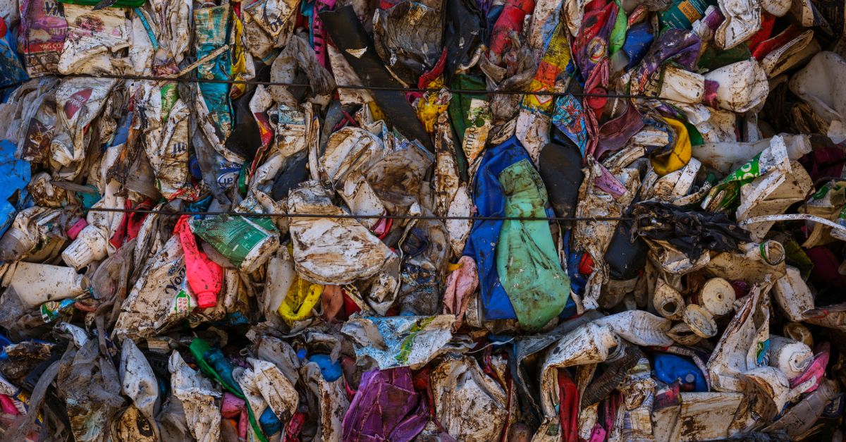 Comment l'économie circulaire façonne l'avenir écologique