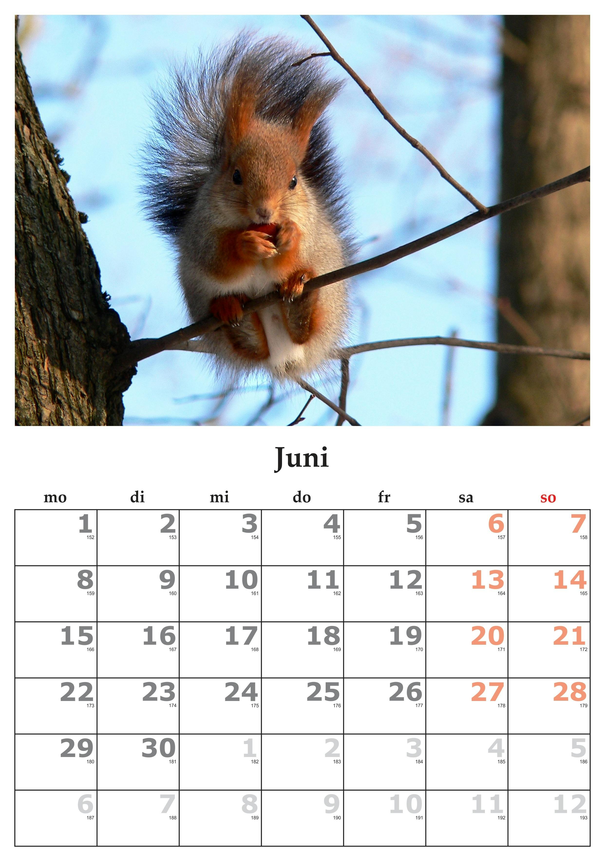 15年6月 カレンダー 六月の無料の写真素材