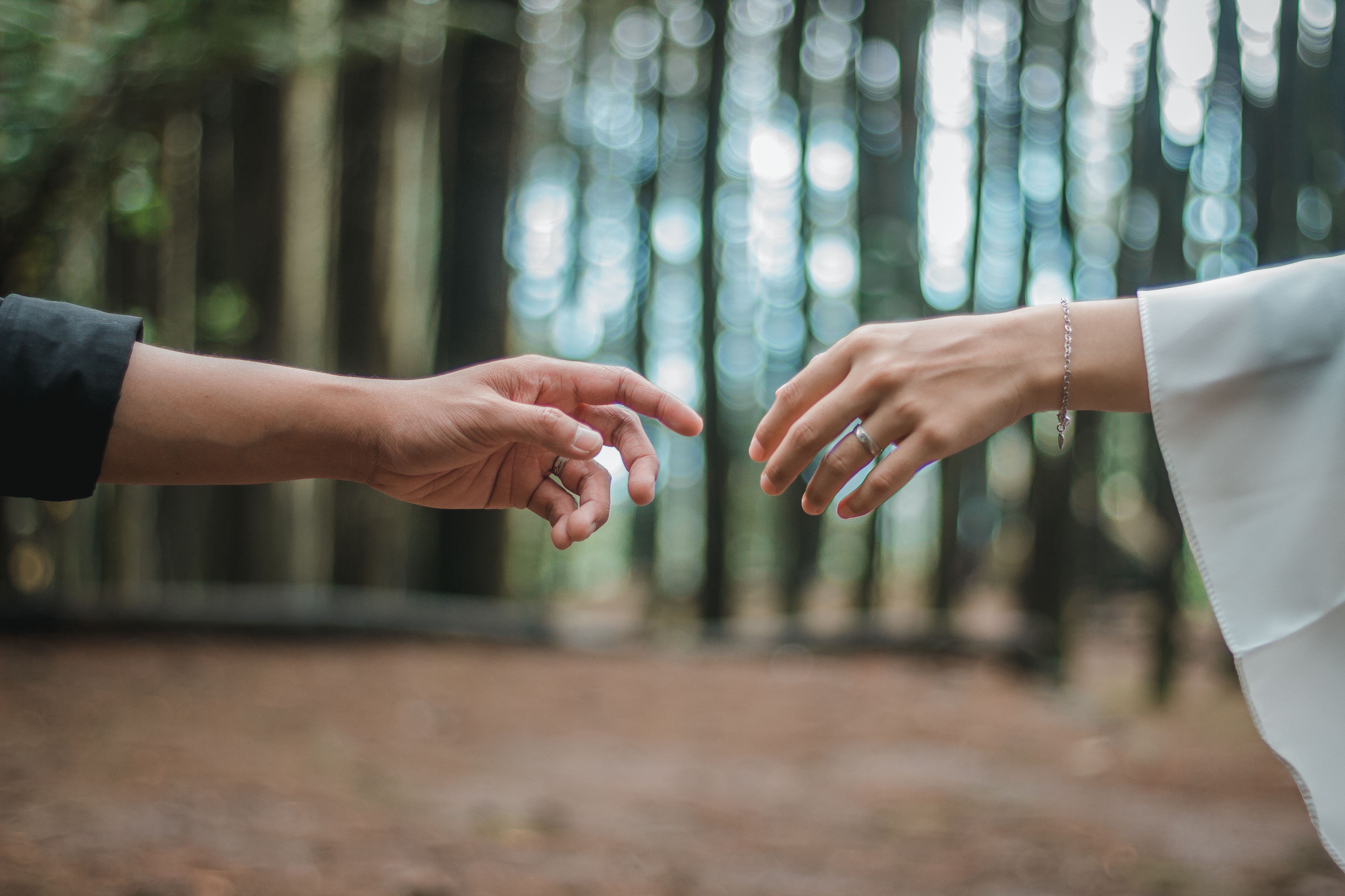 A tender moment of two hands reaching towards each other in a serene forest setting with blurred background.