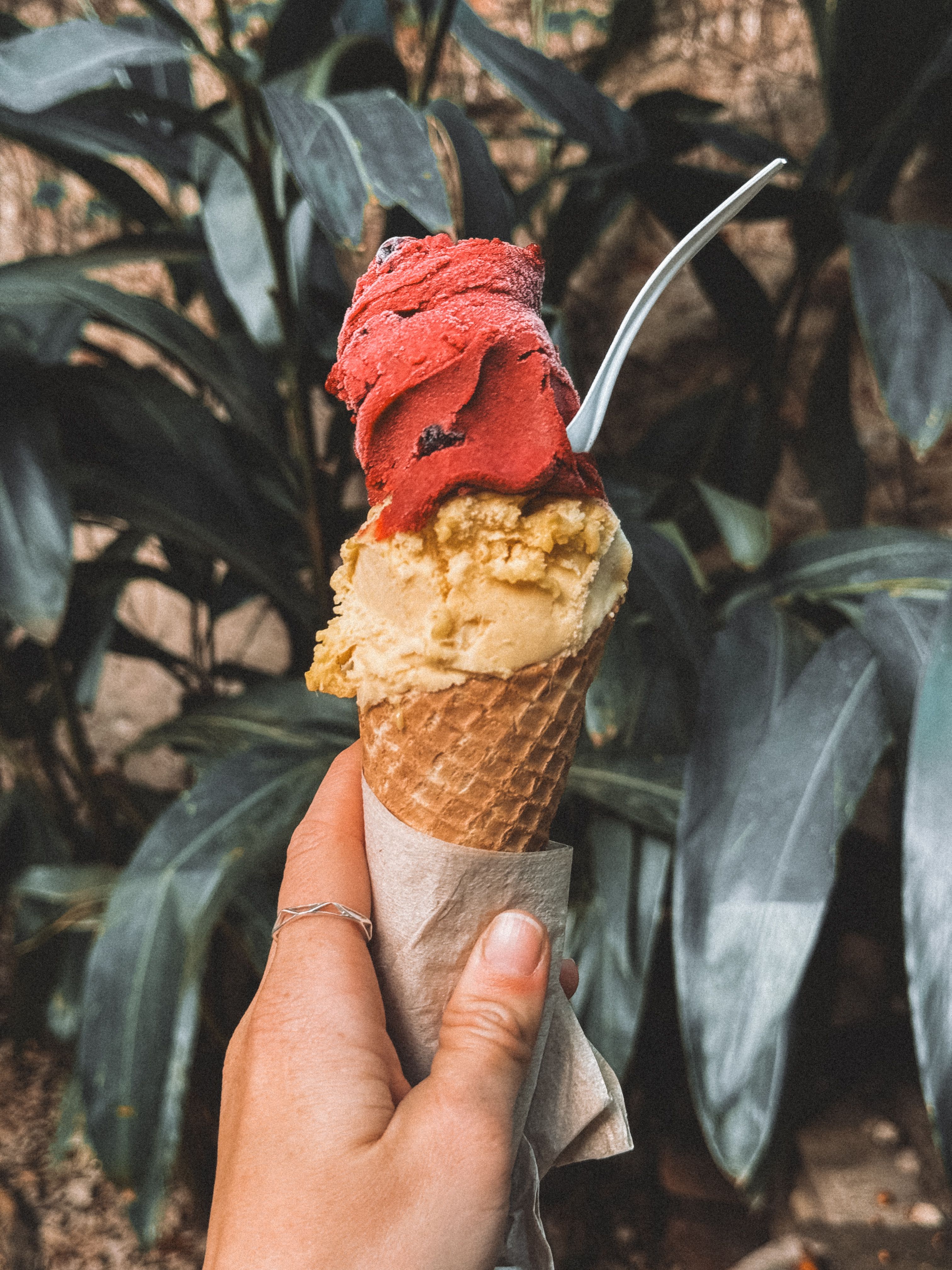 Hand holding a scoop of gelato ice cream with dark chocolate