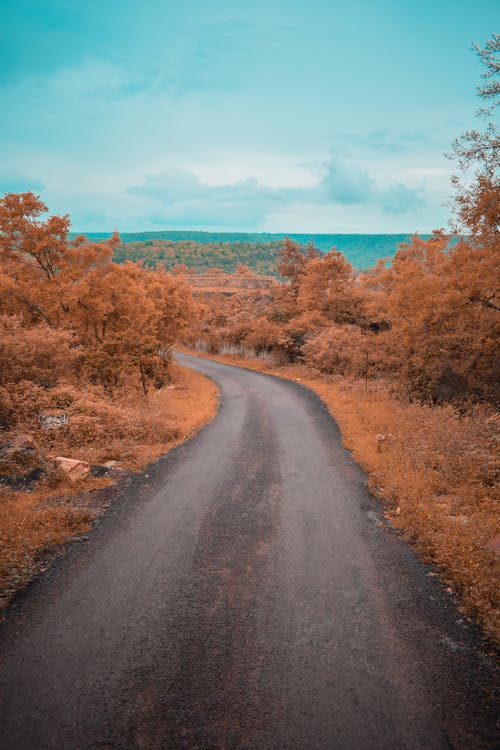 Foto profissional grátis de azul, declínio, estrada cheia de curvas