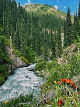 A vibrant scene of a river flowing through a lush conifer forest in summer.