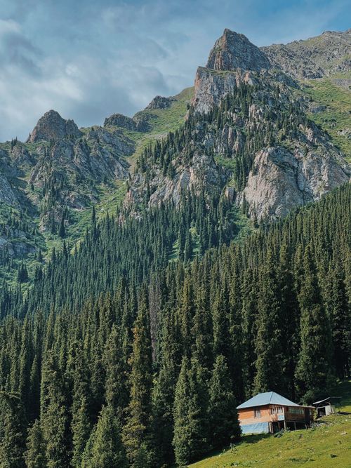Free A stunning mountain view with lush evergreen forest and a cabin at the foothills. Stock Photo