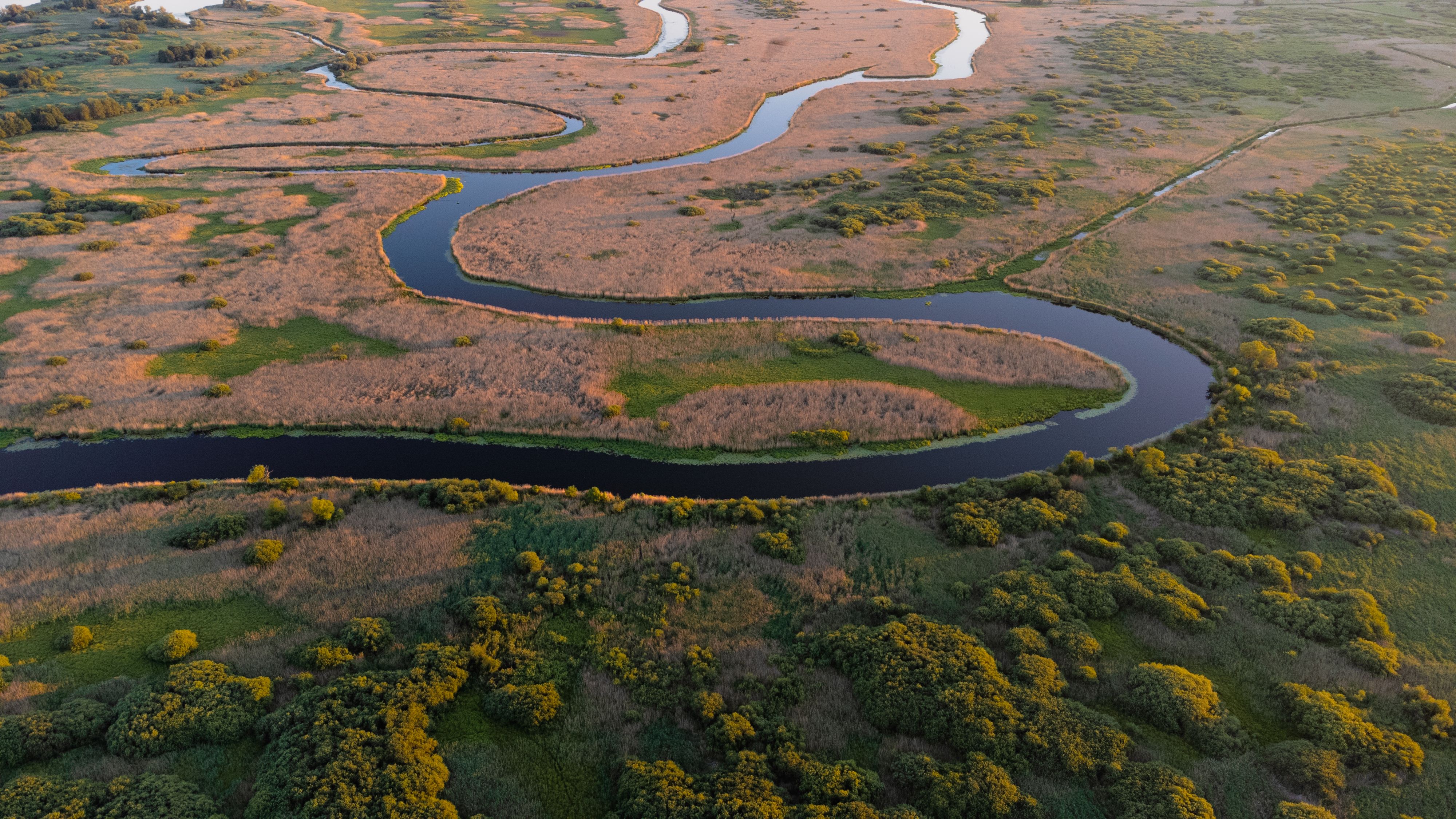 Ecological diversity and environmental monitoring