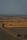 wheat field