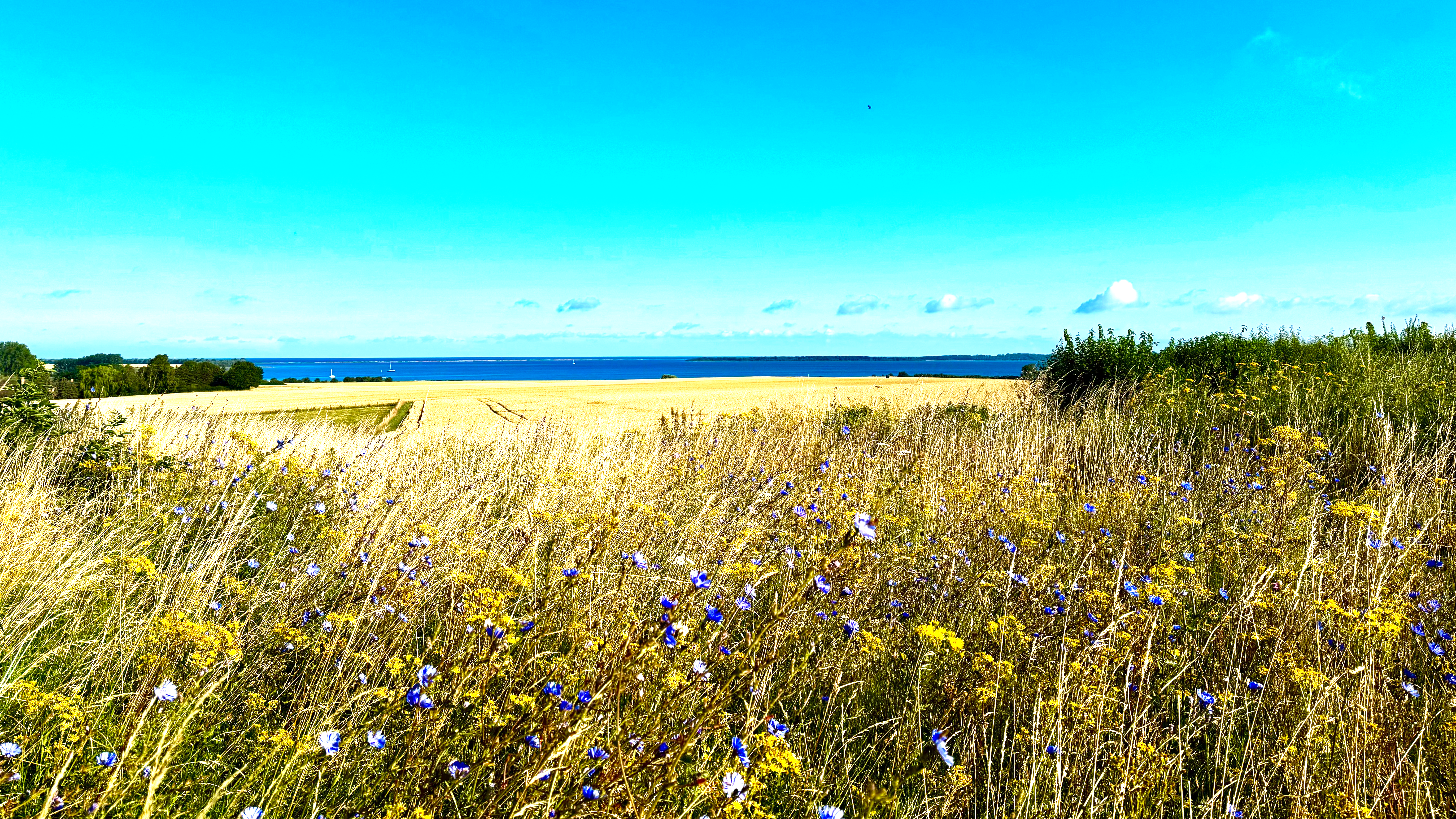 Insel Poel