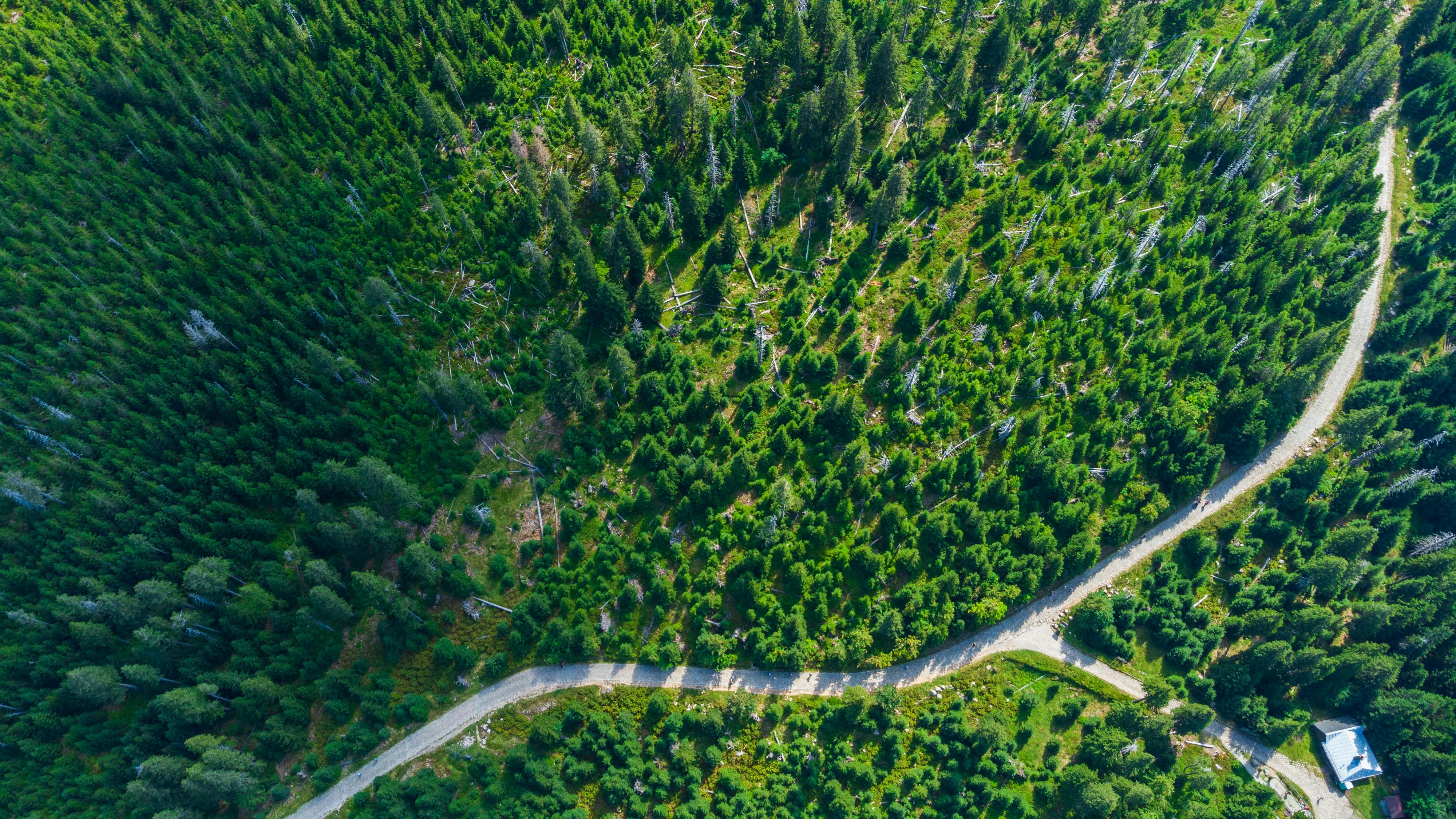 Federal reclassification benefits Vermont medical cannabis program — Photo by Artem Stoliar on Pexels