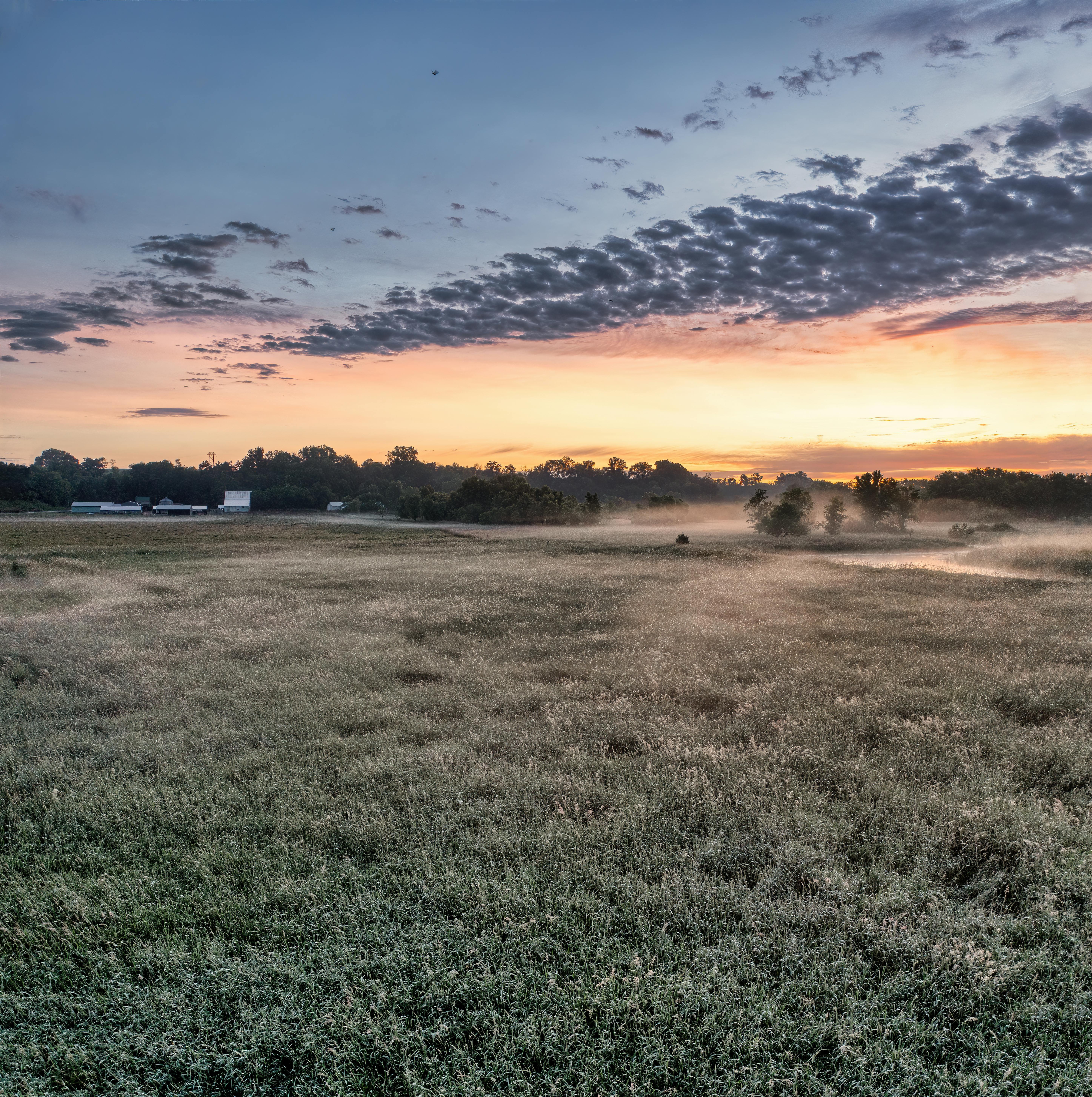 a field with fog and grass at sunset