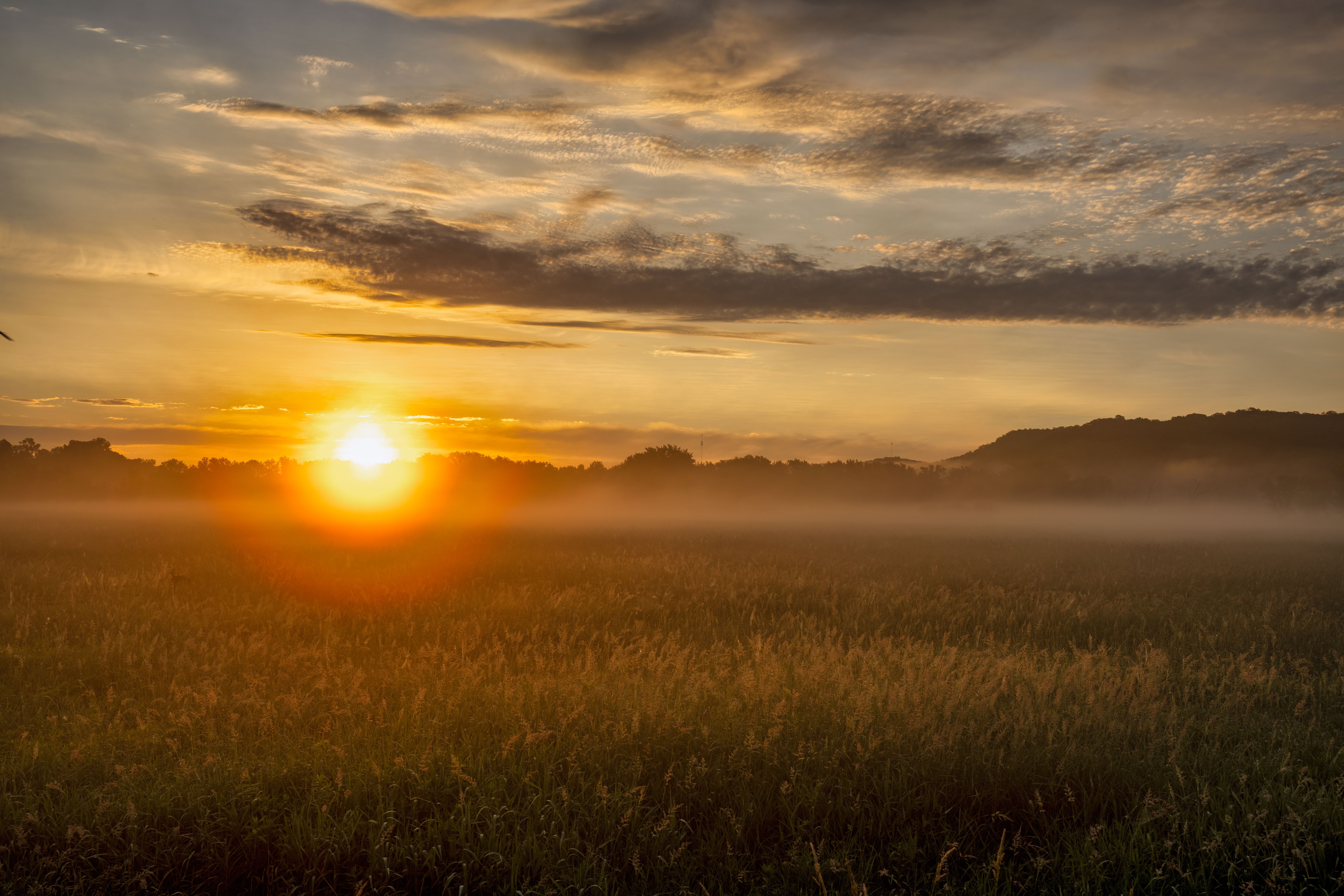 Sunrise Over the Field · Free Stock Photo