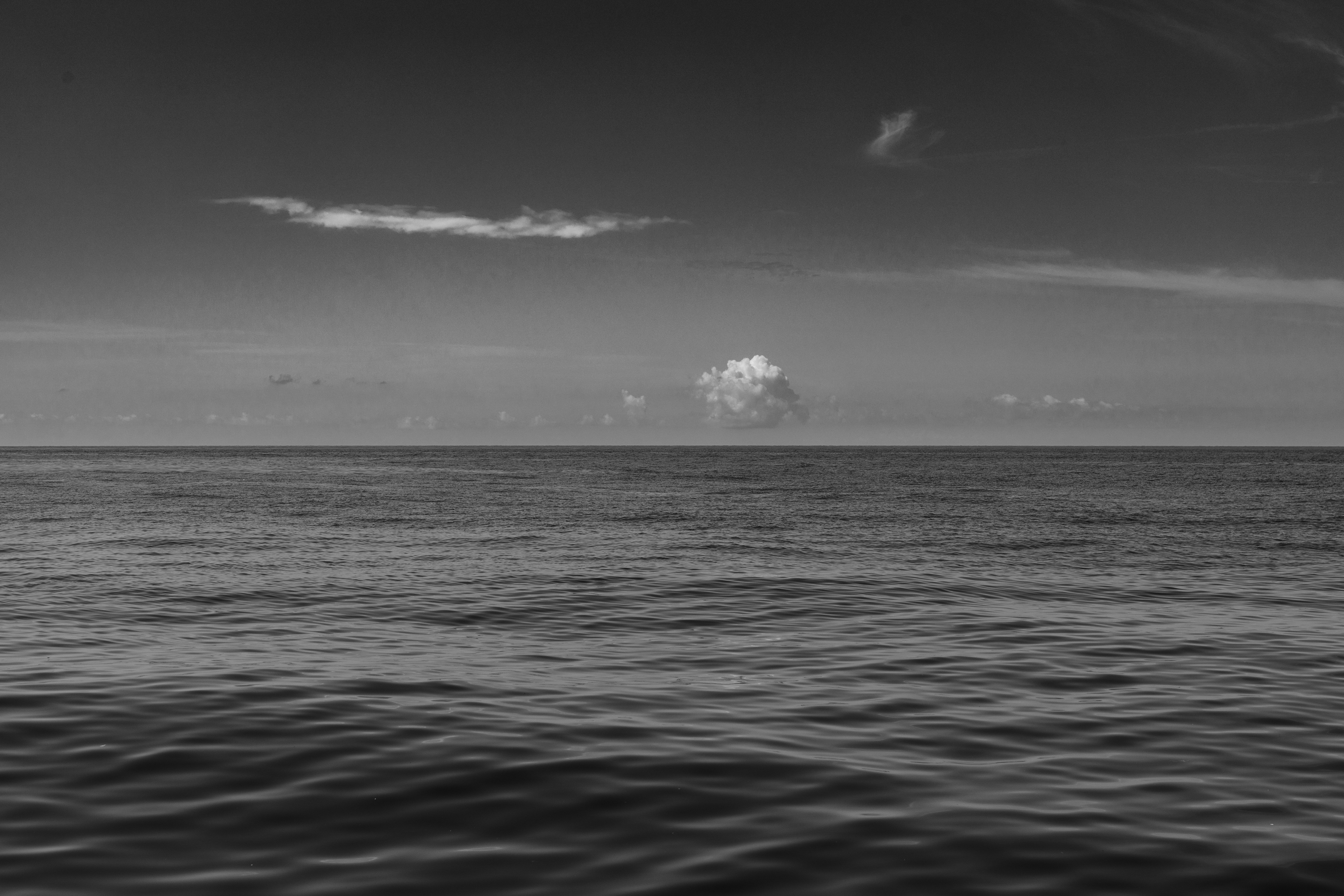 Clear Sky over Sea in Black and White · Free Stock Photo