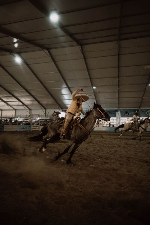 Free Capture the thrill of a rodeo cowboy in action at León de los Aldama, Mexico. Stock Photo