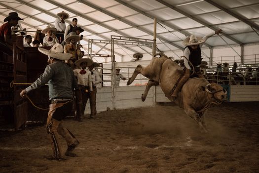 Dramatic bull riding action at a rodeo in León, Mexico.