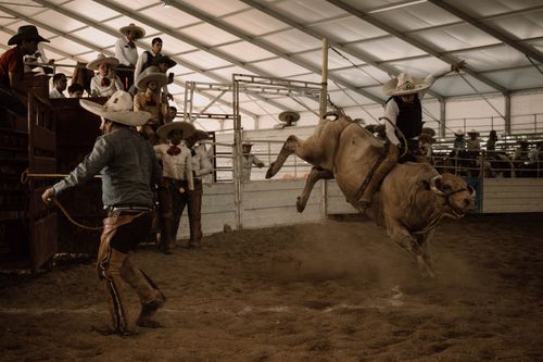 Free Dramatic bull riding action at a rodeo in León, Mexico. Stock Photo