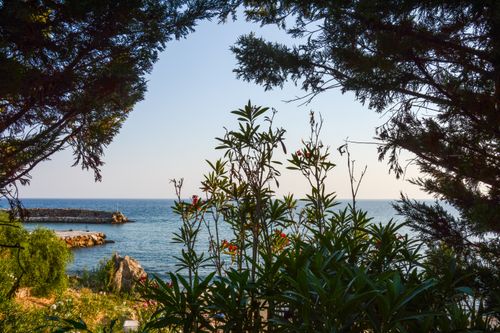 Free Beautiful coastal scene framed by lush greenery and blue ocean. Stock Photo