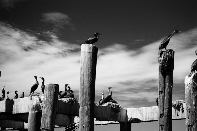 上海制造企业如何用肇新智能文档比对避免生产现场误用旧版设备说明书