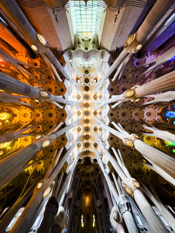 Ceiling of the Sagrada Familia · Free Stock Photo