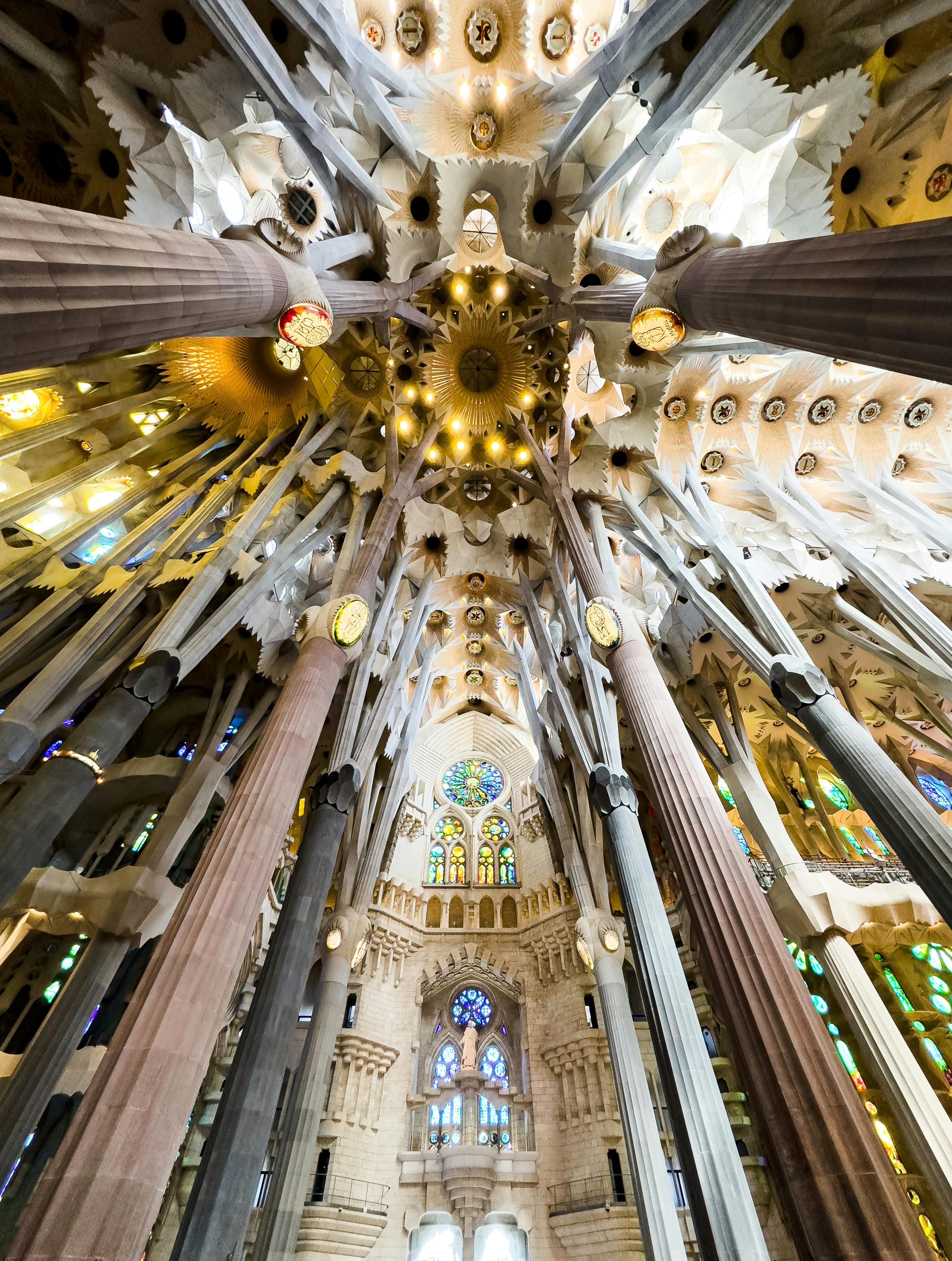 the ceiling of sagrada familia in barcelona spain