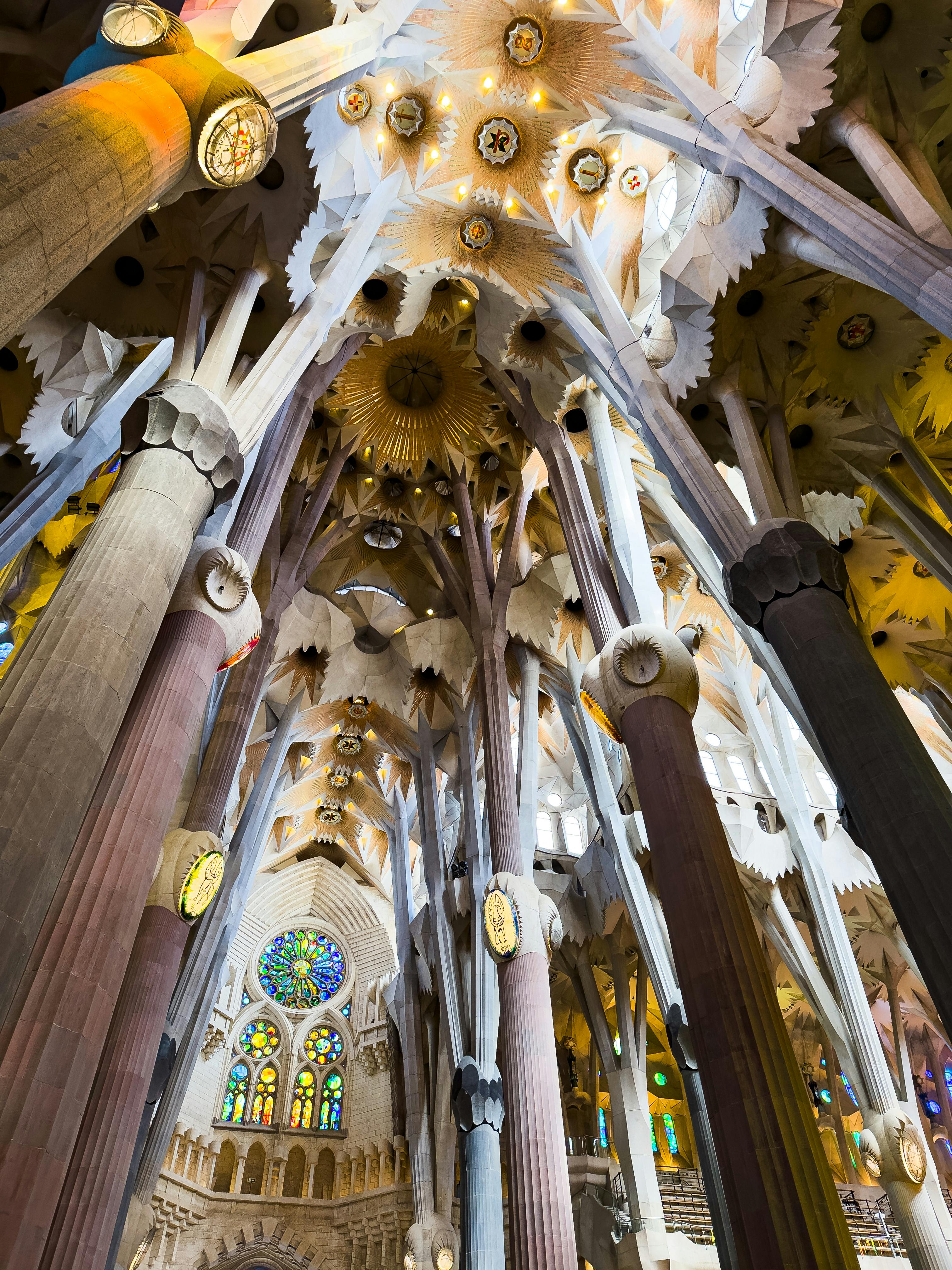 the ceiling of sagrada familia in barcelona spain