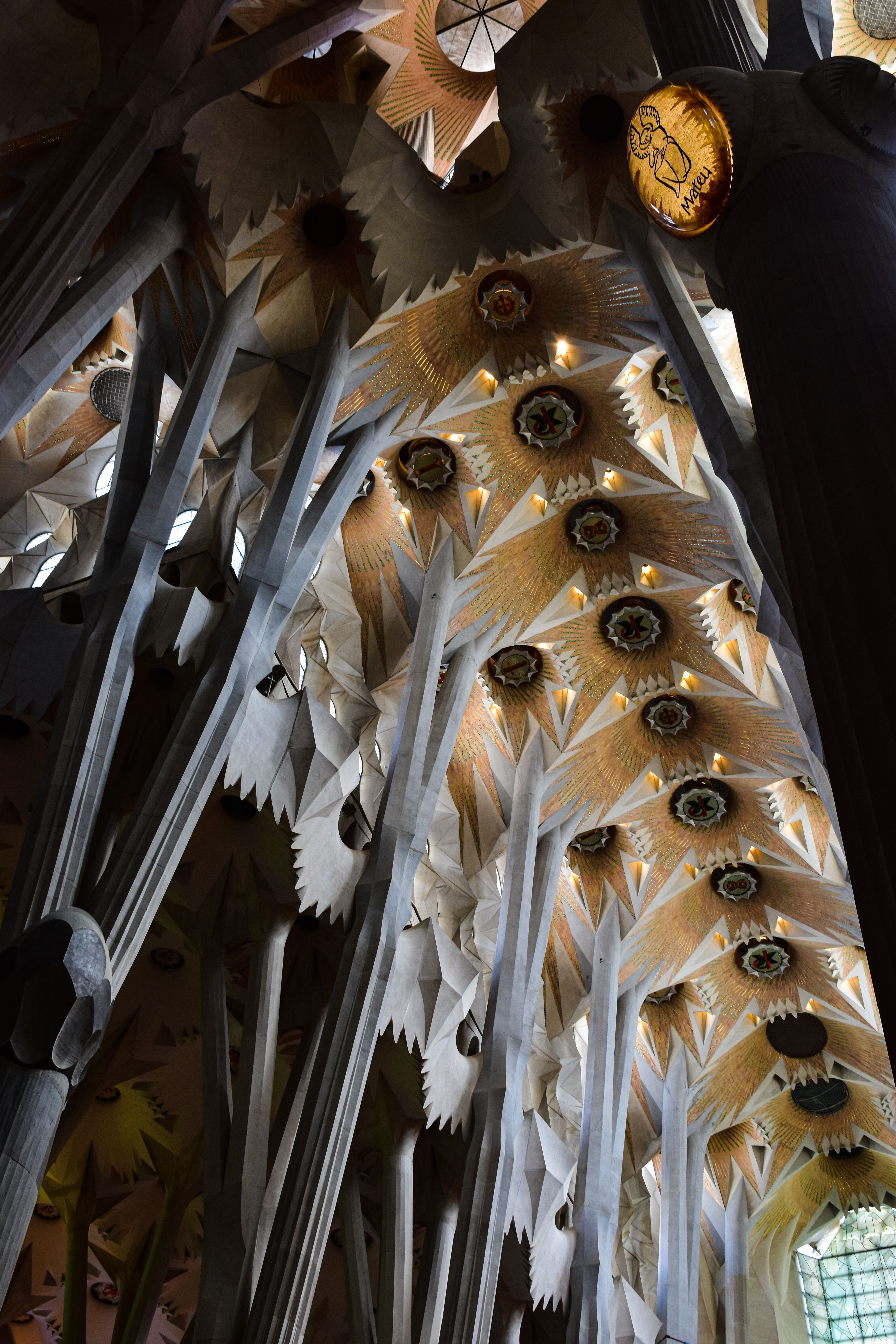 The ceiling of the sagrada familia in barcelona, spain · Free Stock Photo