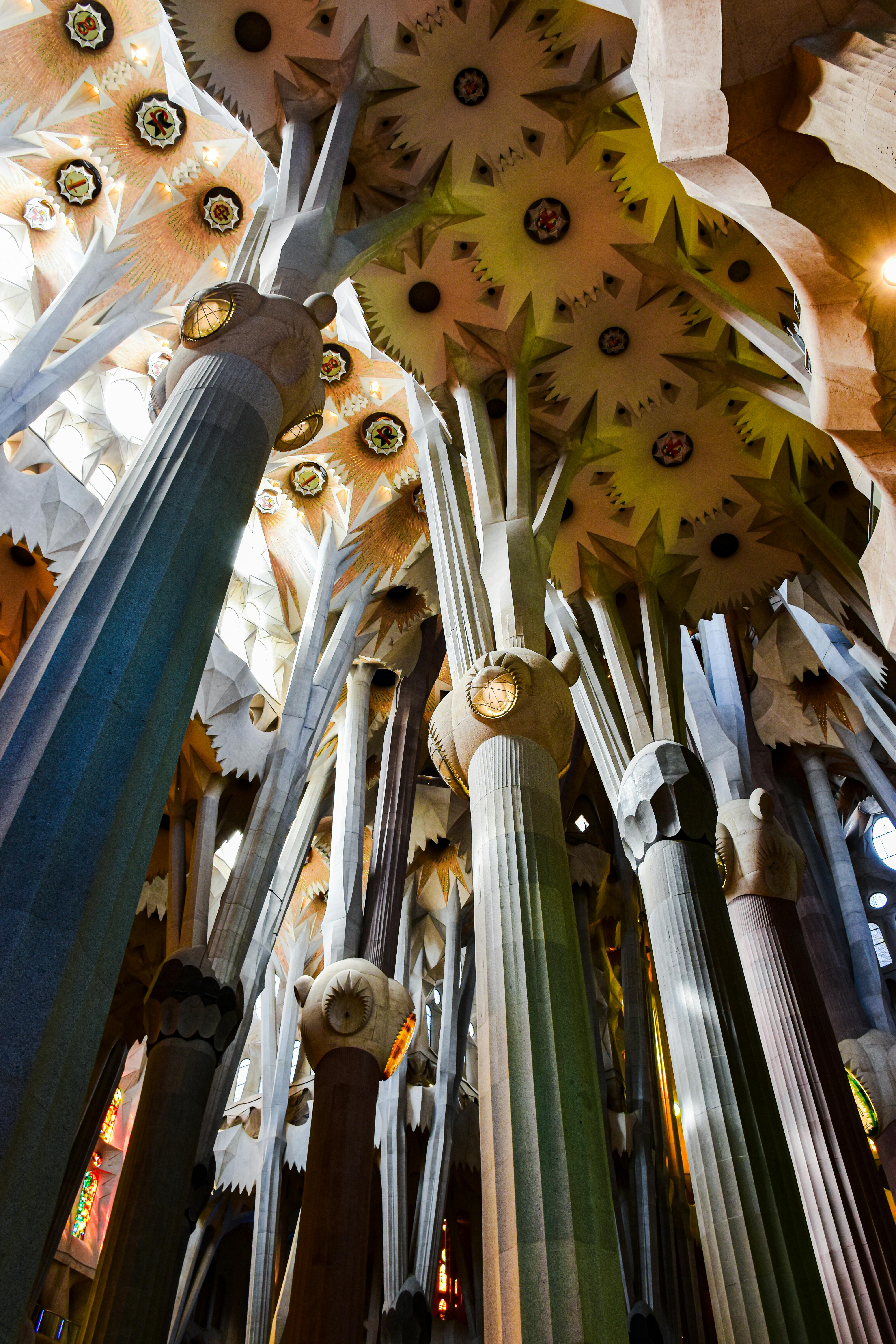 the ceiling of sagrada familia in barcelona spain