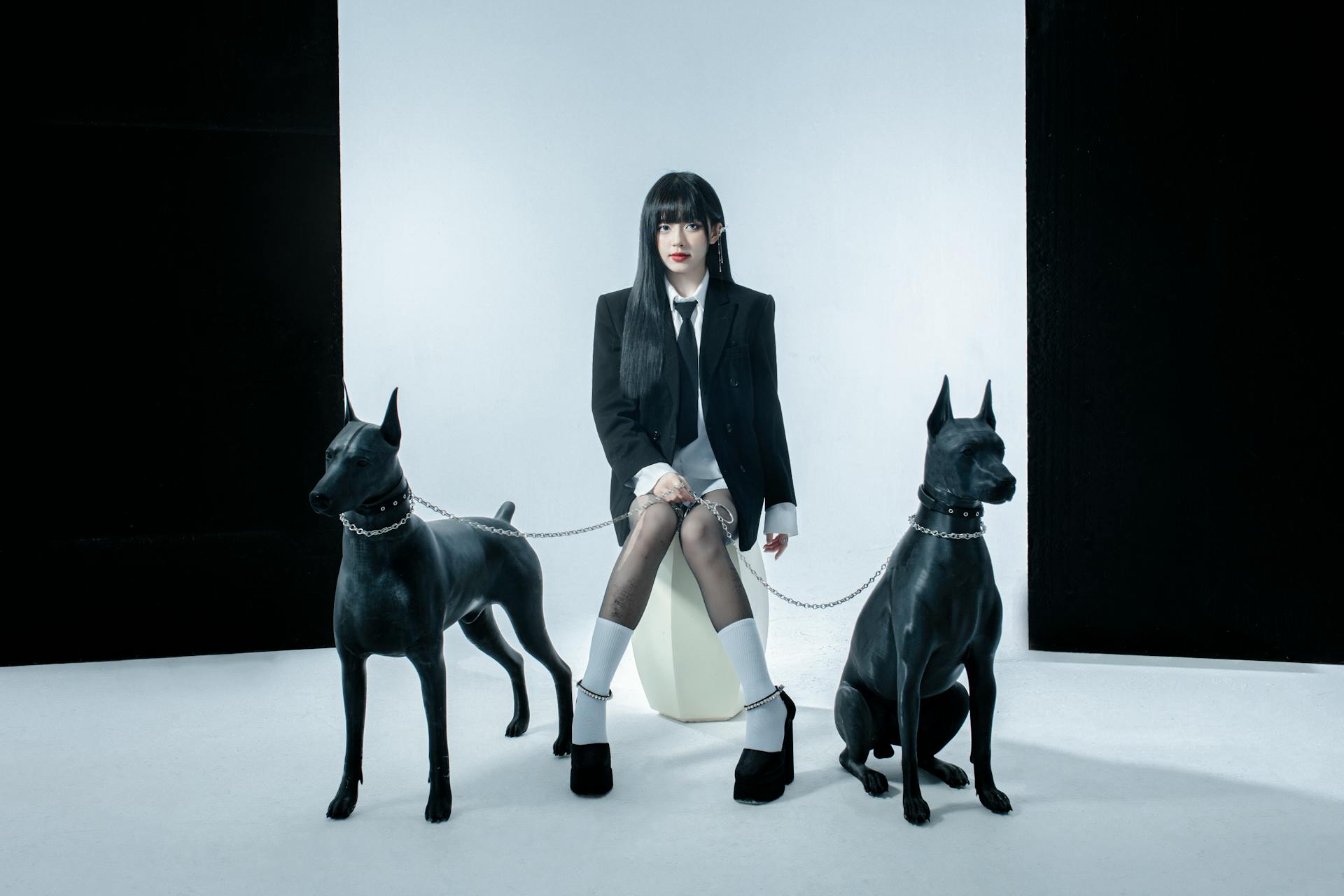 Studio Shot of a Young, Fashionable Woman Posing with Doberman Statues