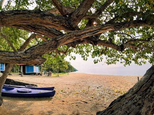 Foto d'estoc gratuïta de cabanes a la platja, caiac, illa de platja