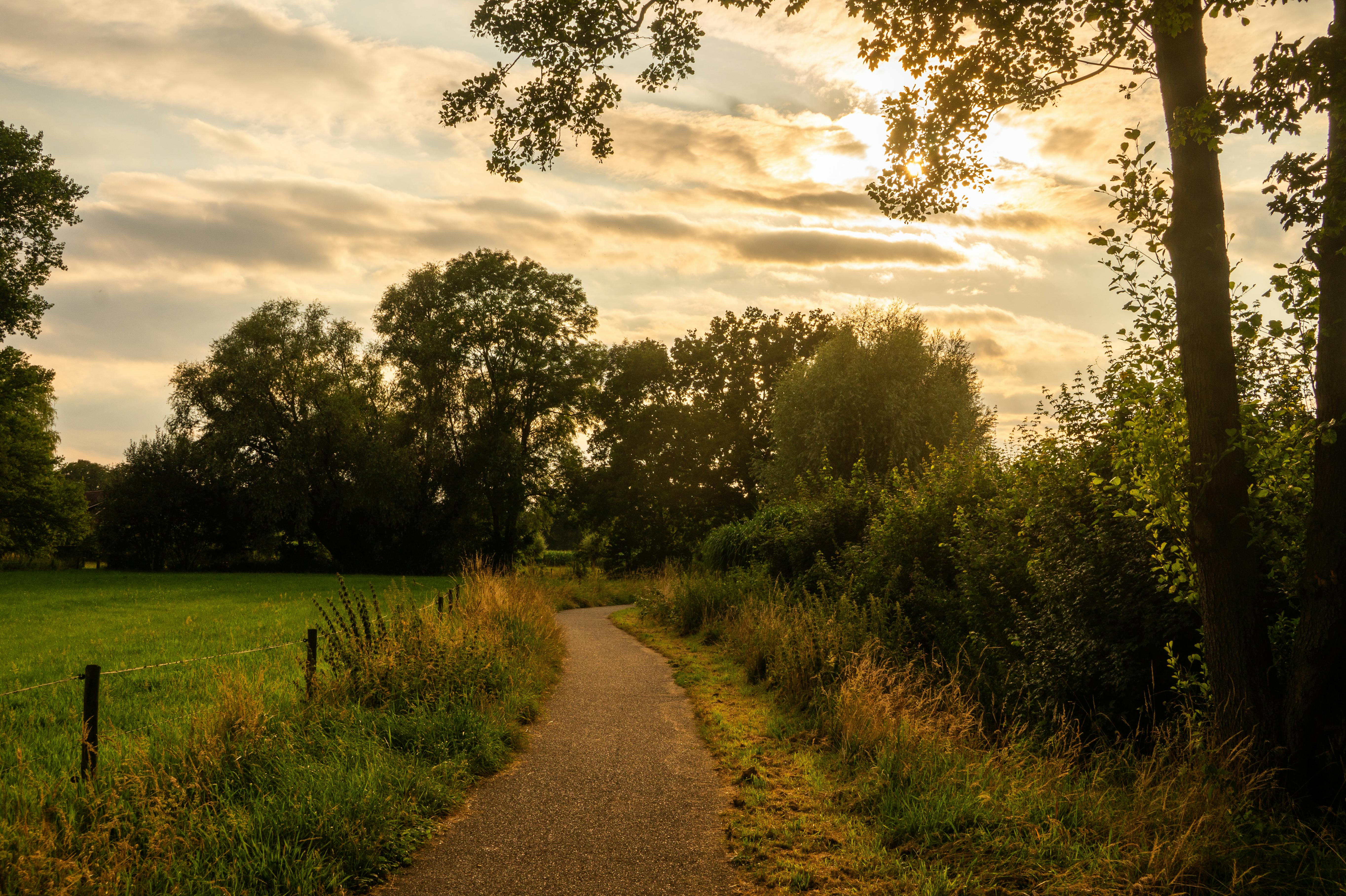 Healthspan White Paper: The Data-Driven Path to Longevity — Photo by Freek Wolsink on Pexels