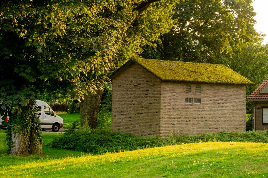How to remove moss from shady lawns without killing grass — cover media