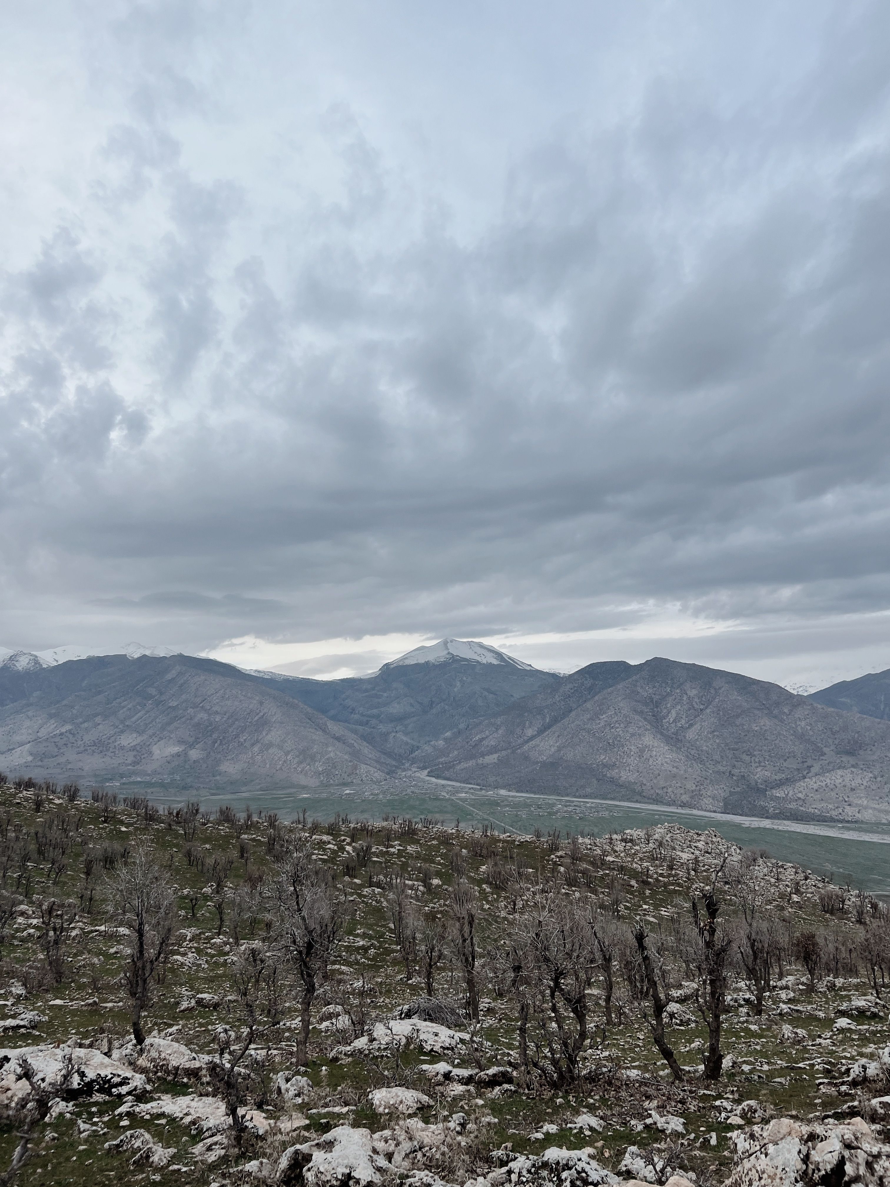 A view of the mountains and a valley with trees · Free Stock Photo