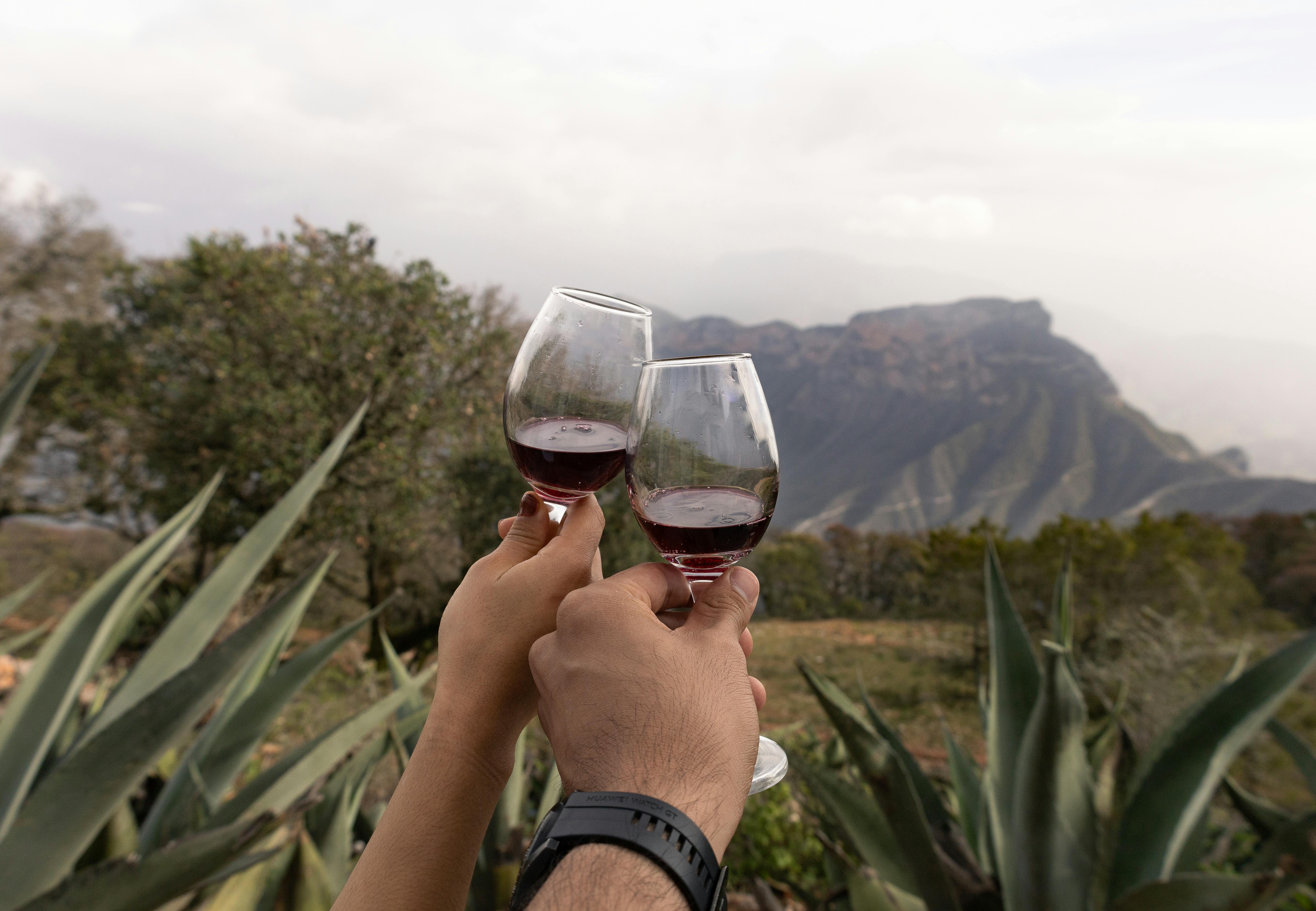 Two people holding up wine glasses with mountains in the background