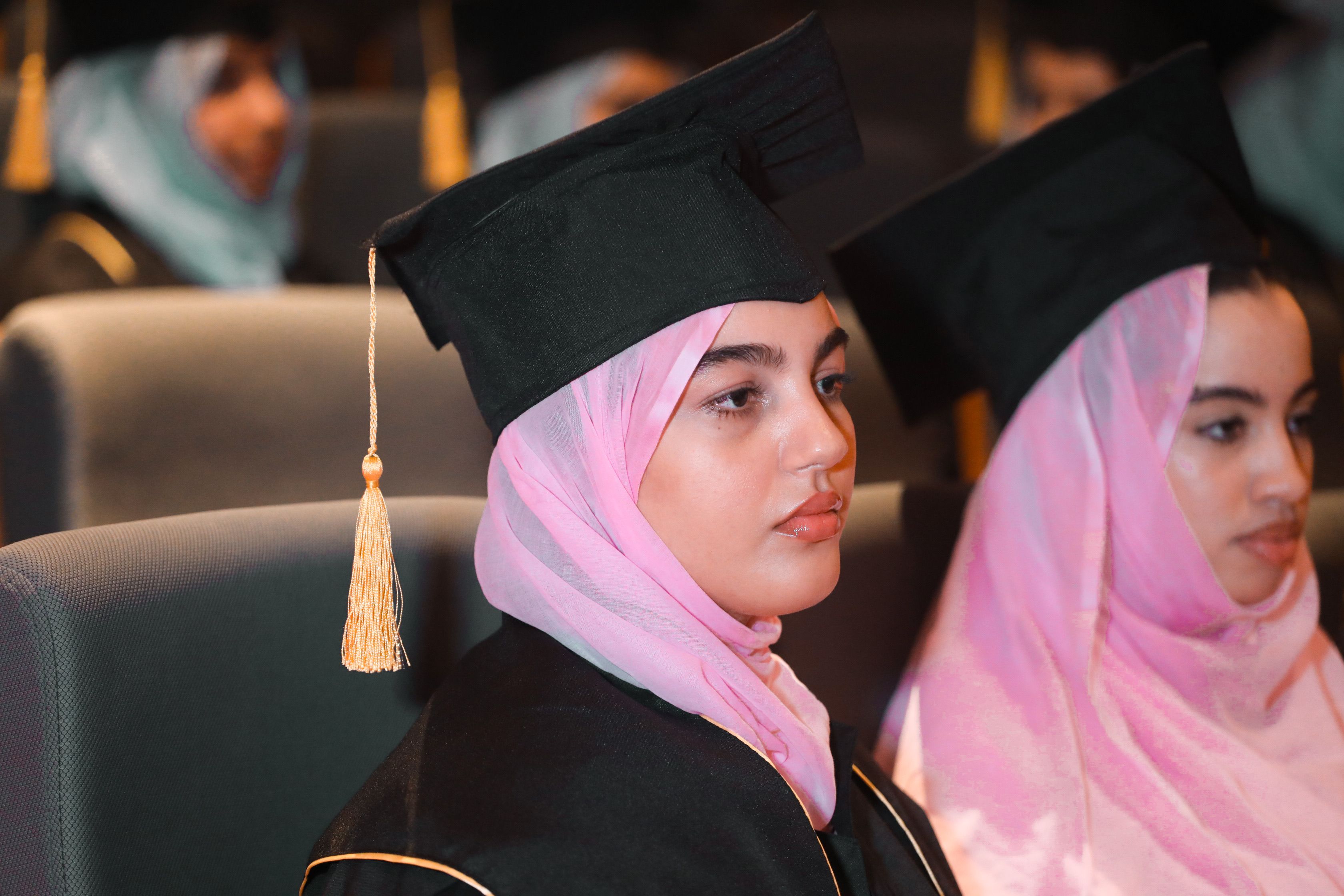 SU launches 1st academic program from Center for the Creator Economy — Photo by Mokhtar Med on Pexels