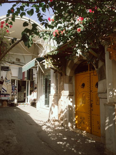 Explore a vibrant alley in Tunis featuring a distinctive yellow door, surrounded by lush plants and traditional architecture.