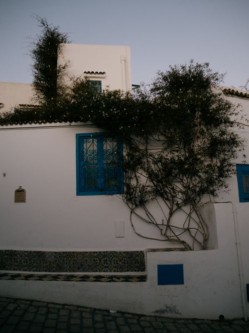 Free Tunisian Walls Stock Photo