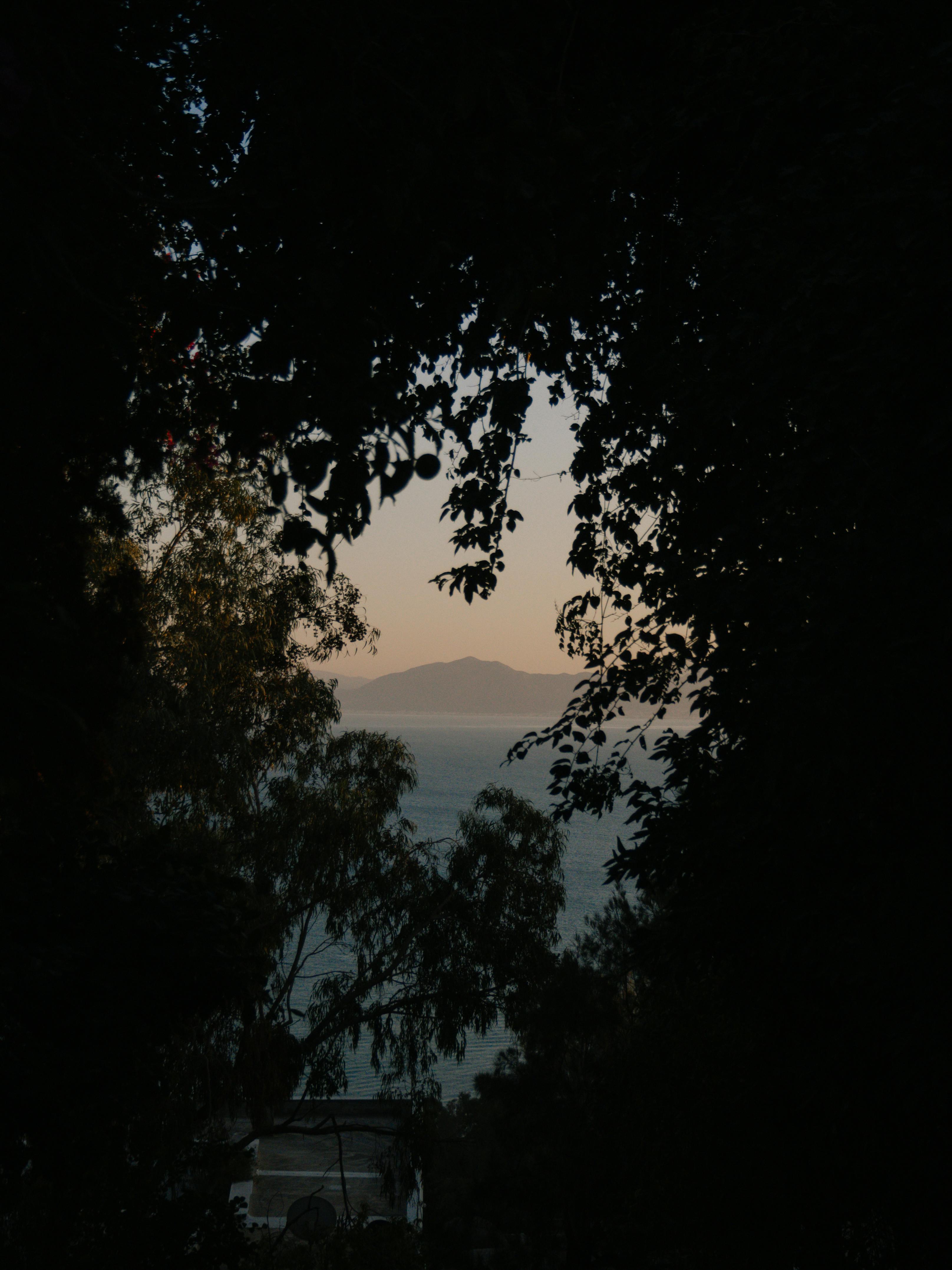 Silhouette of trees framing a serene sunset view over the water in Tunis, Tunisia.
