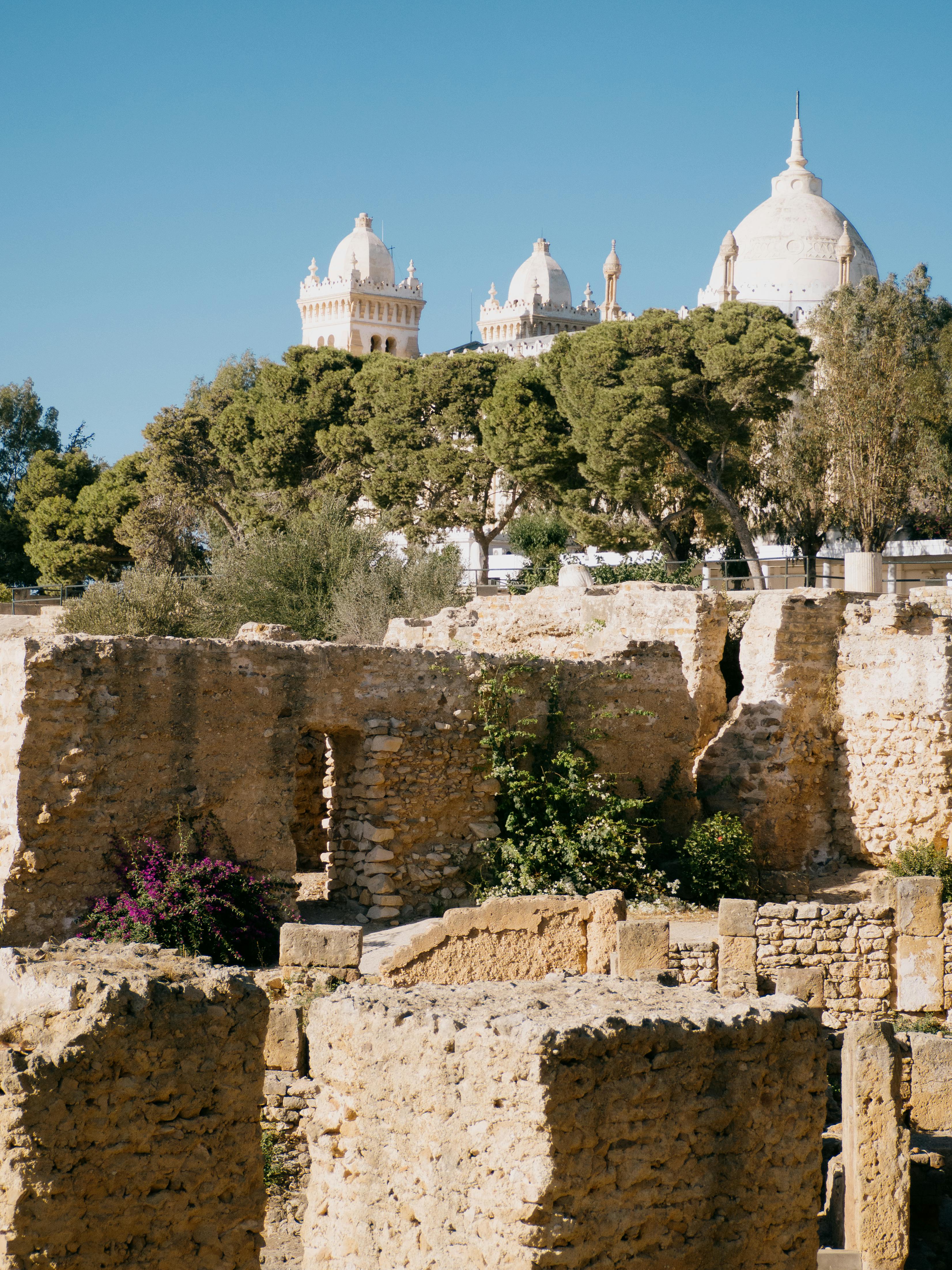 Ancient ruins with backdrop of historic architecture in Tunis, Tunisia.