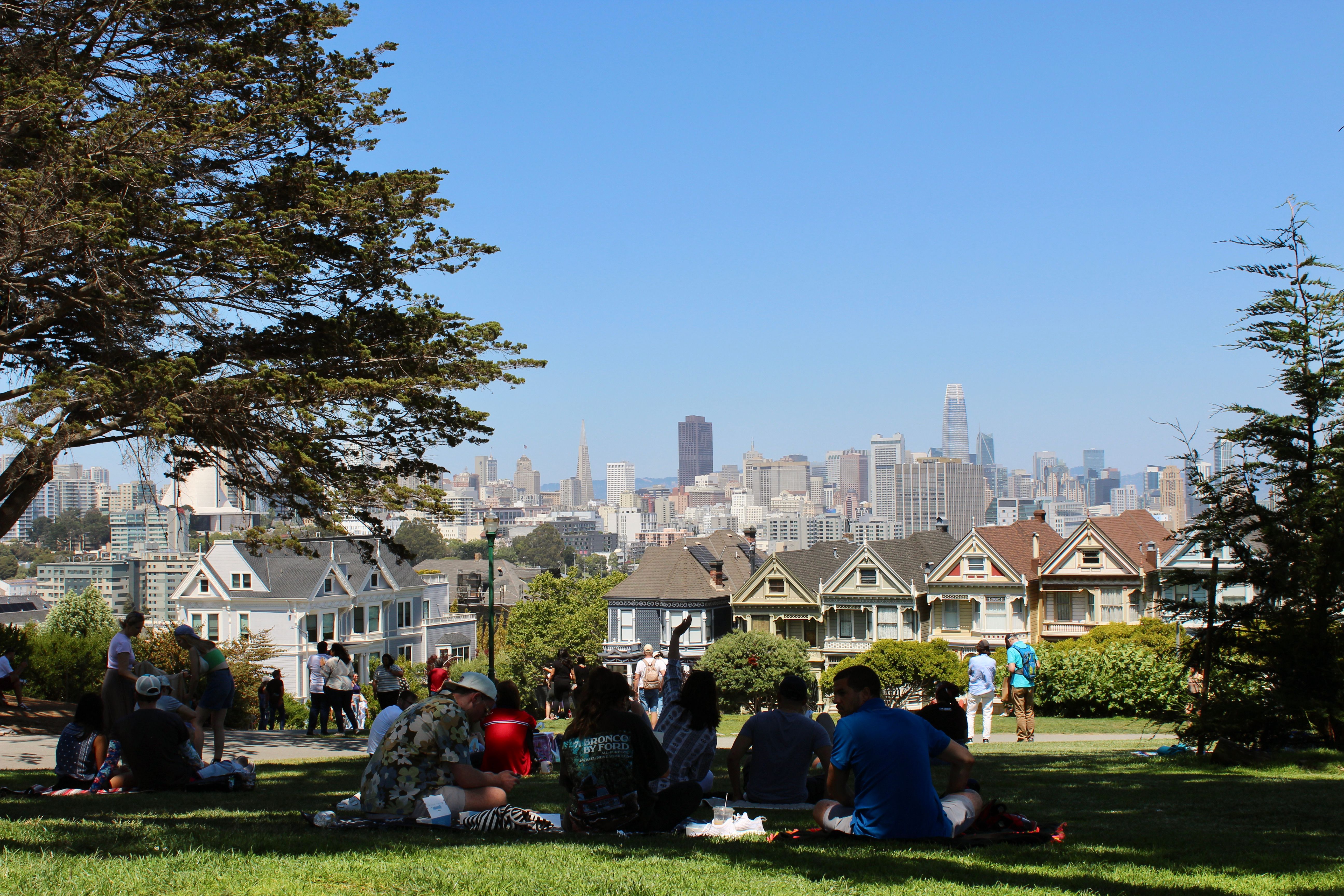 People enjoying a picnic with a view of San Francisco skyline and Painted Ladies.