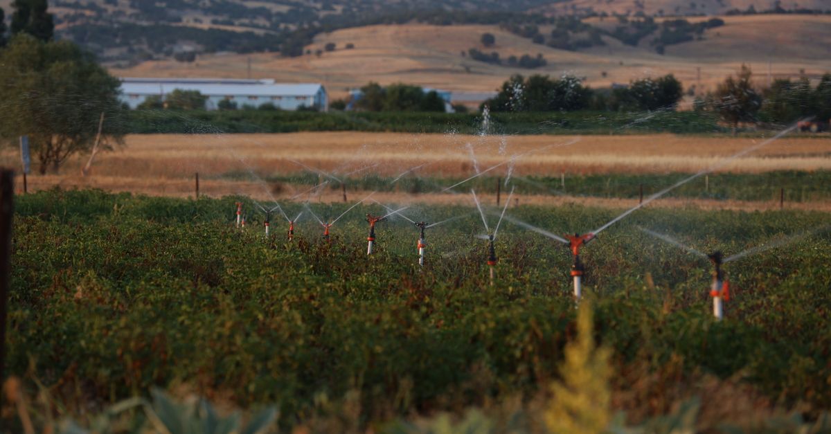 Les principaux types de systèmes d'irrigation à connaître
