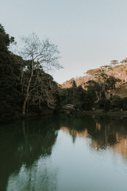 A calm lake reflects trees in a peaceful forest setting during fall, showcasing nature's beauty.