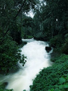 Munnar tea gardens in the morning mist