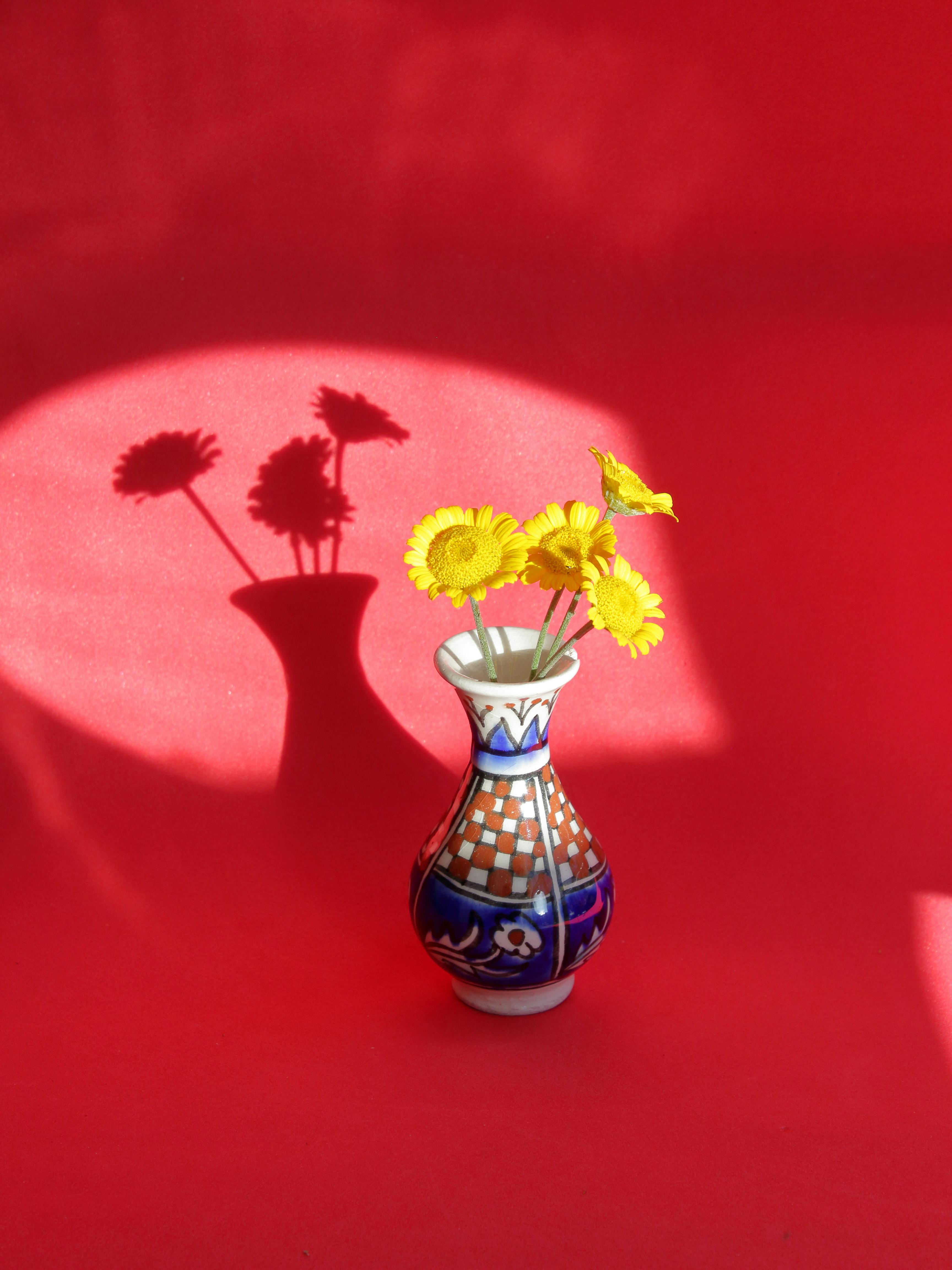 Decorative vase with yellow flowers casting shadows on a vibrant red backdrop.
