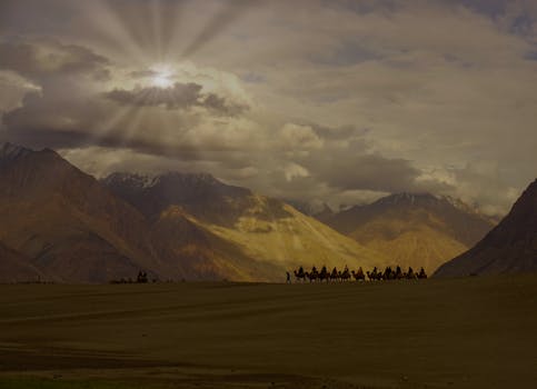 Camel caravan traversing Ladakh's striking barren landscape with dramatic sunbeams.