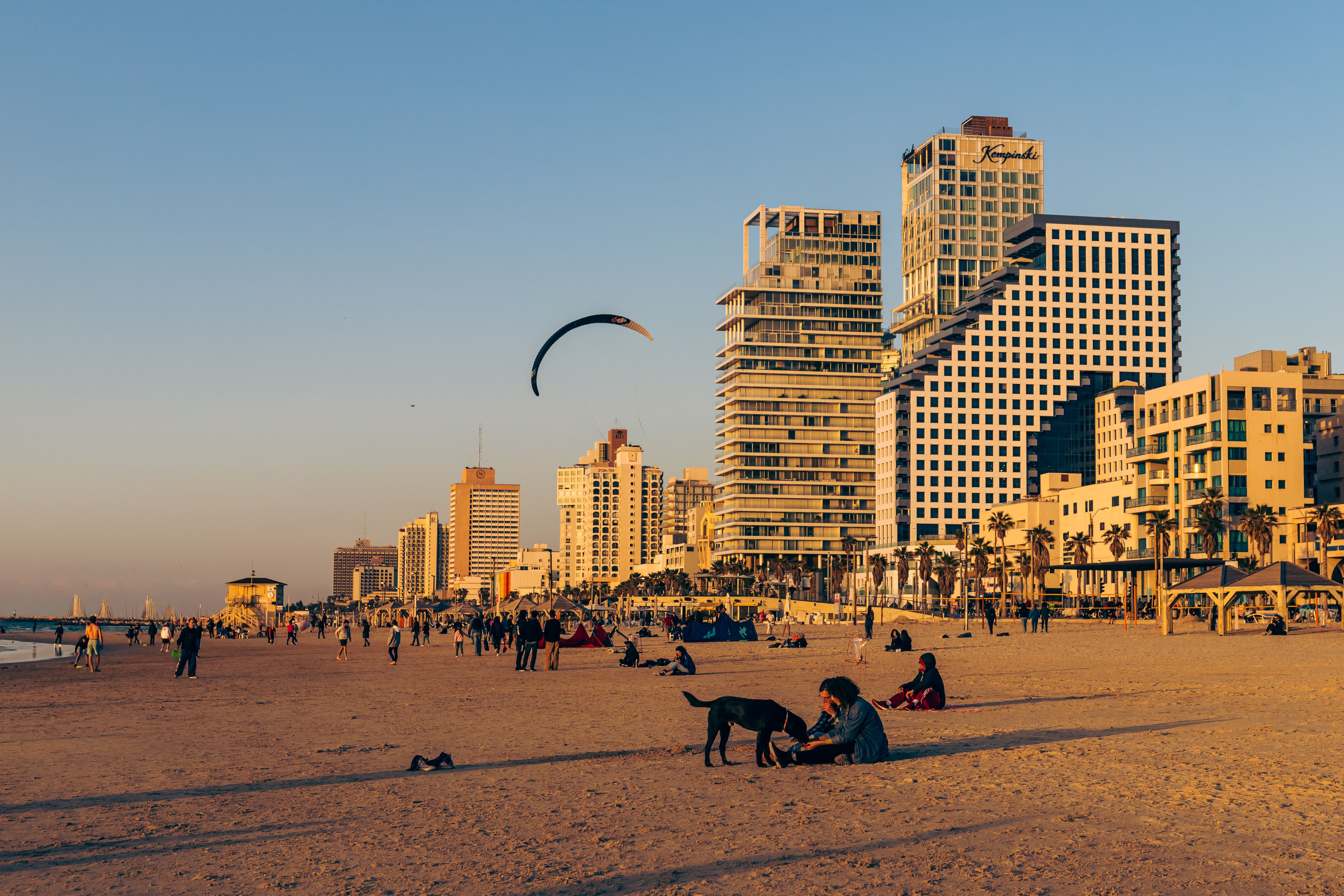 Eilat Luxury Chauffeur