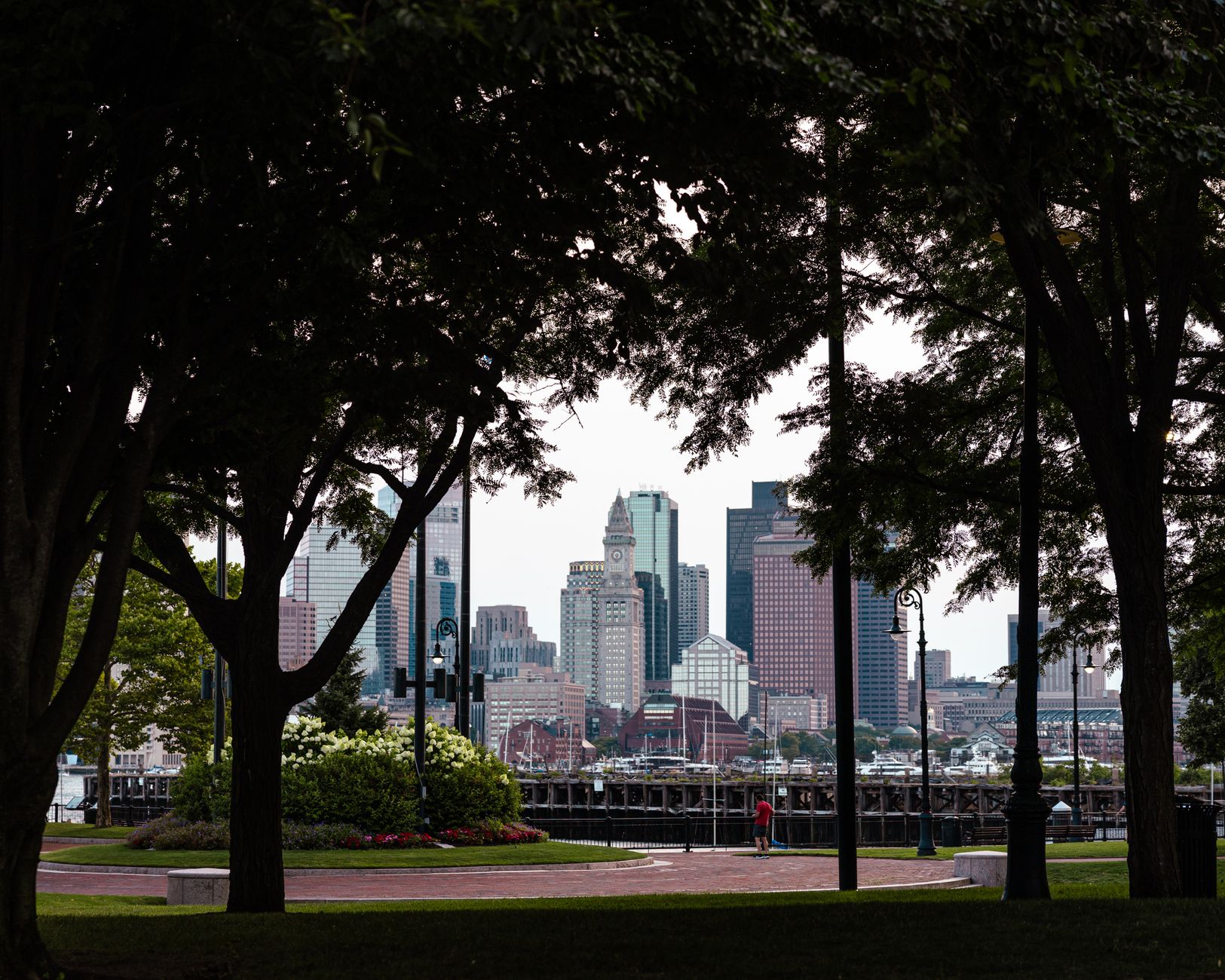 View of Boston's skyline framed by lush trees from a city park.