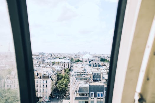 从巴黎屋顶的高处俯瞰，历史建筑尽收眼底，远处矗立着埃菲尔铁塔