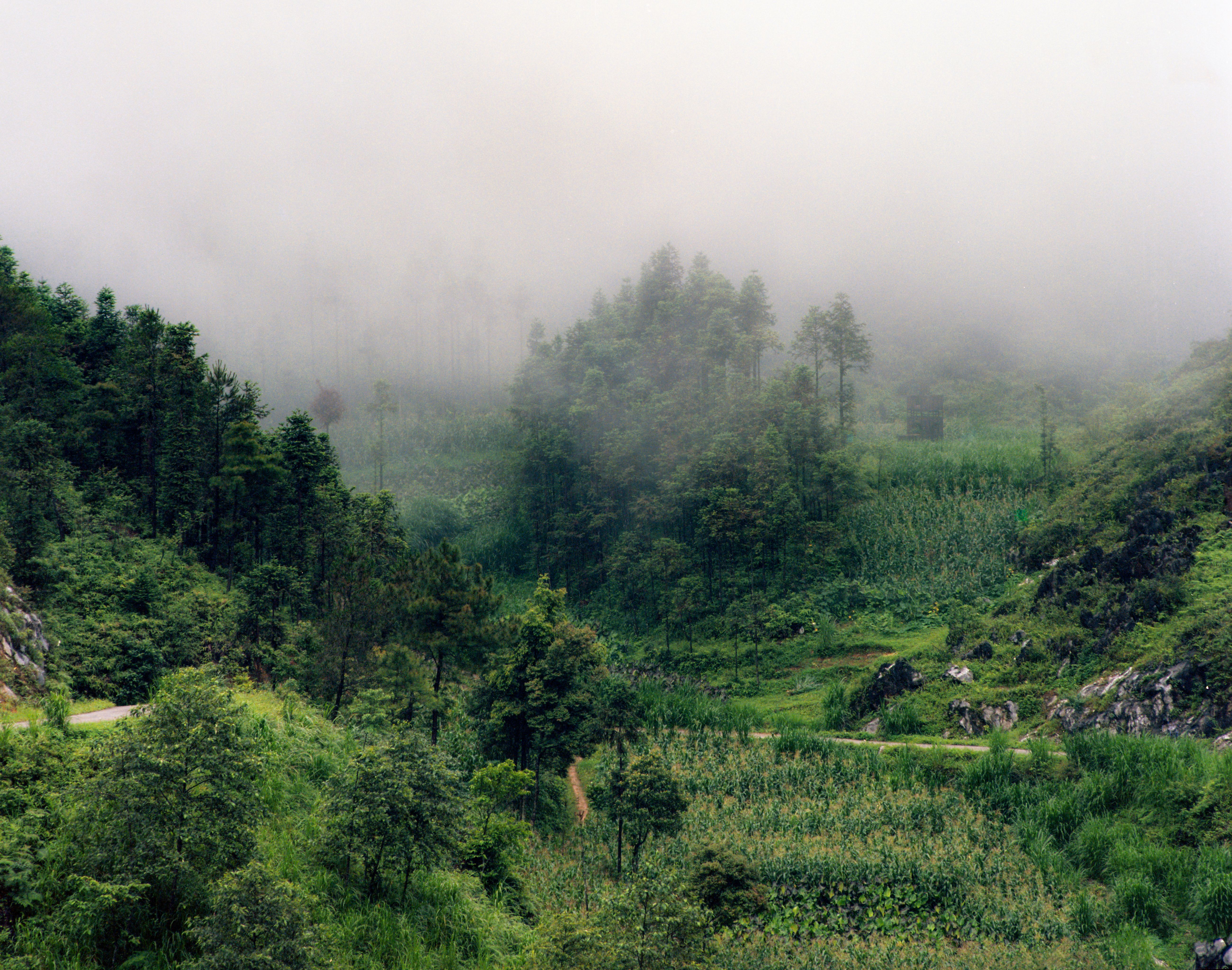 Ha Giang