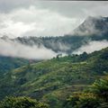 Mist over forested hills, Q. Hưng Phạm on Pexels