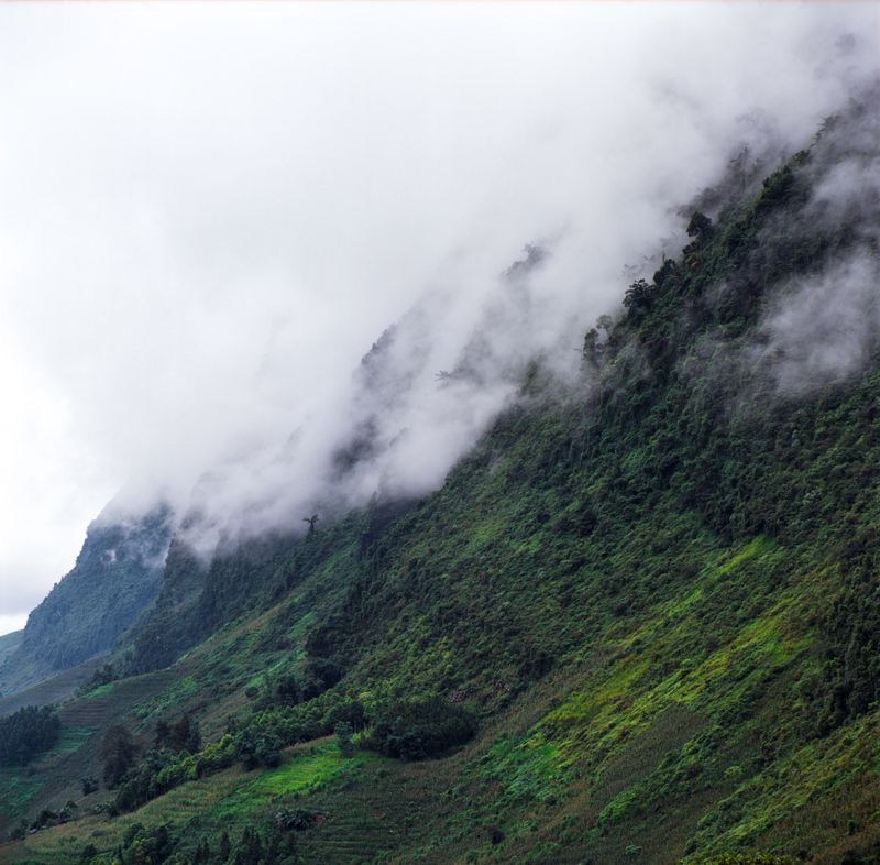 Green mountainside shrouded in low cloud, photo by Q. Hung Pham on Pexels