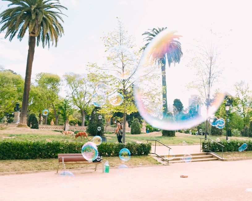 Colorful soap bubbles floating above a sunny park with people and dogs.