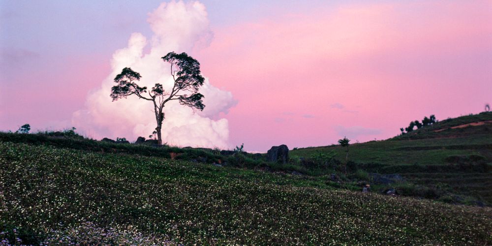 Khám phá HÀ GIANG - Chuyến hành trình ngỡ ngàng qua mùa đẹp nhất với 5 điểm không thể bỏ lỡ